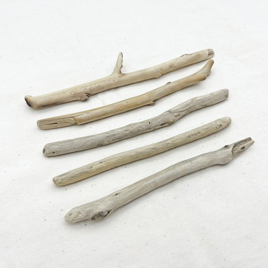 マクラメ用流木 15〜20cm|5本セット|天然素材【SSF SELECT】