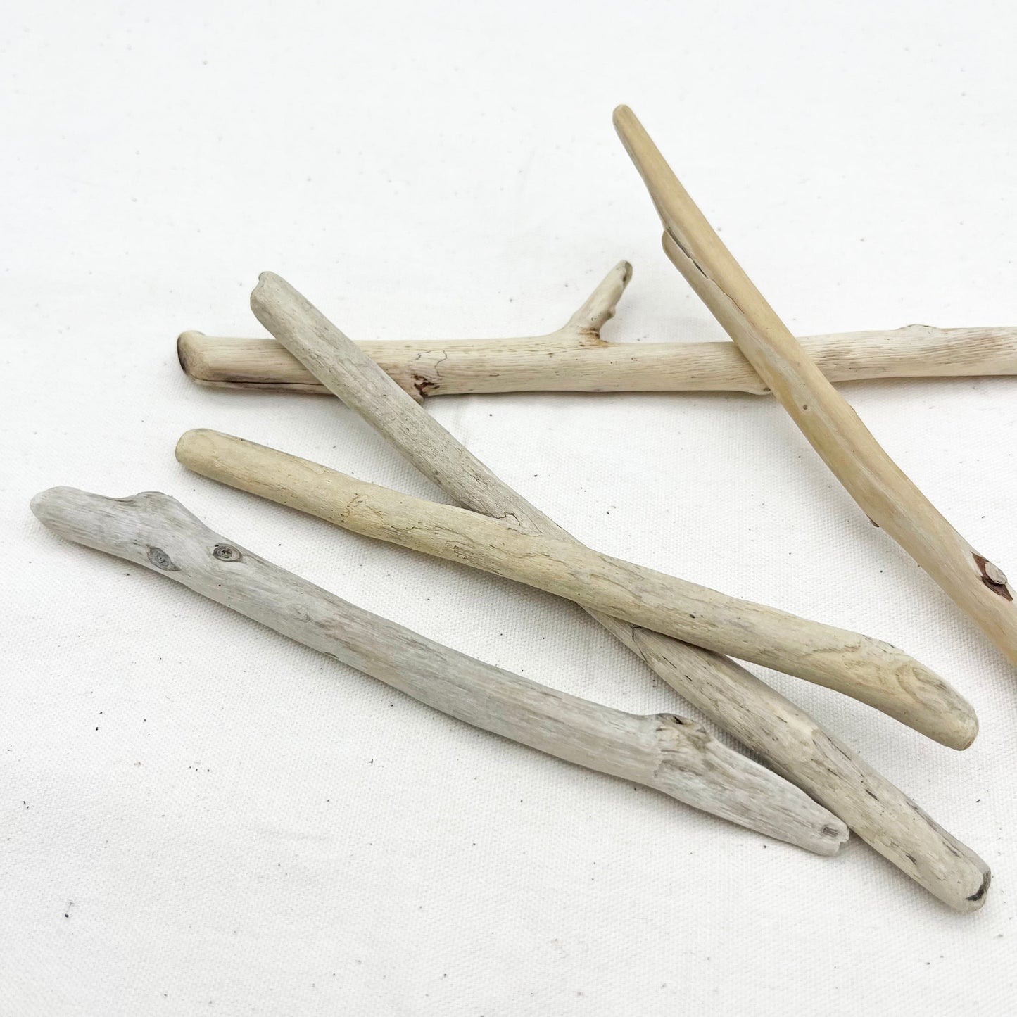 マクラメ用流木 15〜20cm|5本セット|天然素材【SSF SELECT】
