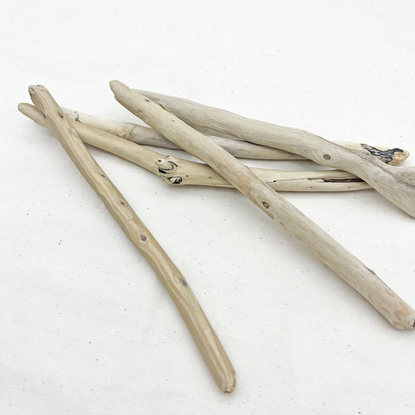 マクラメ用流木 20〜25cm|5本セット|天然素材【SSF SELECT】