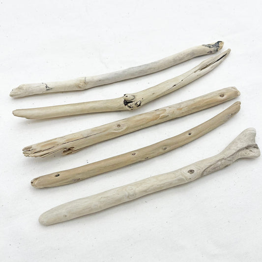 マクラメ用流木 20〜25cm|5本セット|天然素材【SSF SELECT】