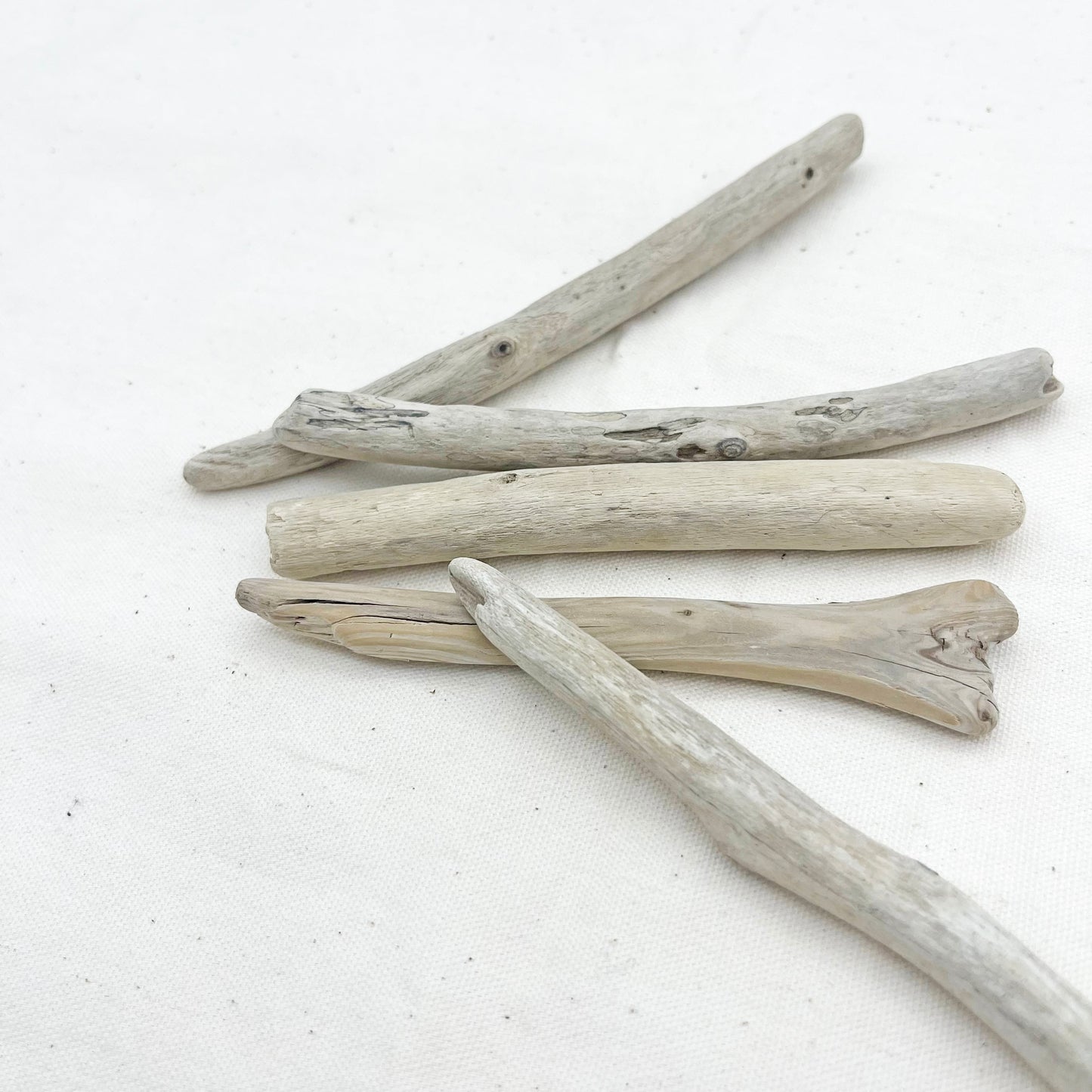 マクラメ用流木 10〜15cm|5本セット|天然素材【SSF SELECT】