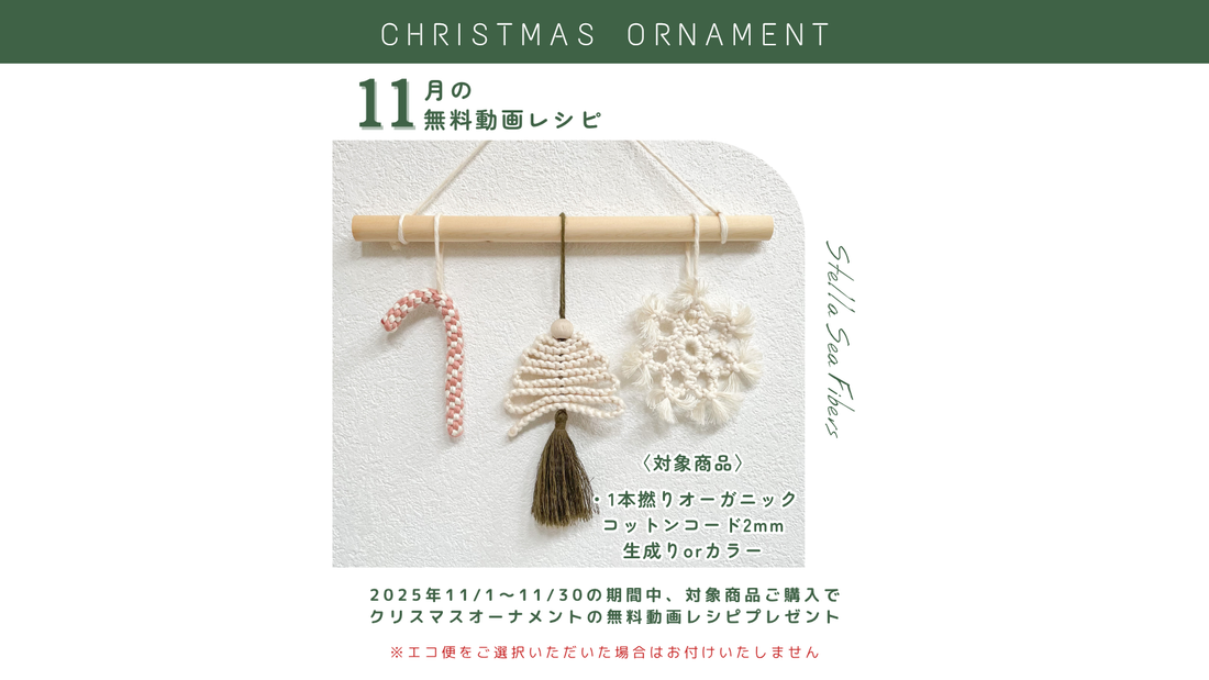 11月の無料動画レシピは、"クリスマスオーナメント"です！