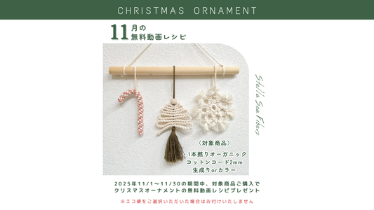 11月の無料動画レシピは、"クリスマスオーナメント"です！