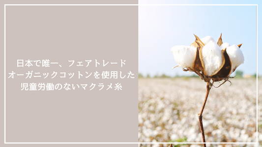 どうしてオーガニックコットン？
