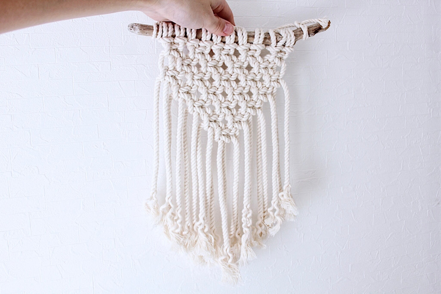 SSF CLUB（期間限定） 未販売初期PDFレシピ5点＋制作ルームご招待【本日限定特典あり】